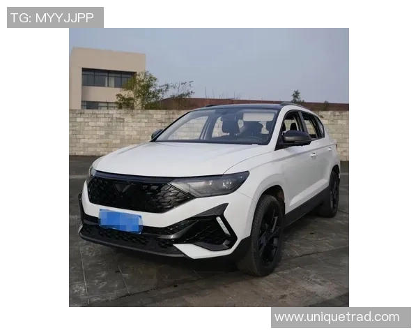 捷达VS5投屏功能使用指南及推荐软件介绍 捷达VS5投屏功能使用指南及推荐软件介绍