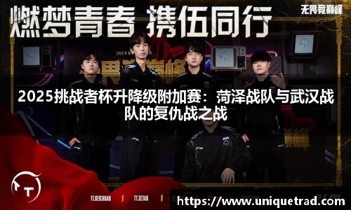 2025挑战者杯升降级附加赛：菏泽战队与武汉战队的复仇战之战